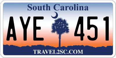 SC license plate AYE451