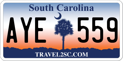 SC license plate AYE559