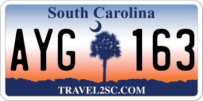 SC license plate AYG163