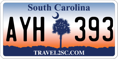 SC license plate AYH393