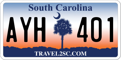 SC license plate AYH401