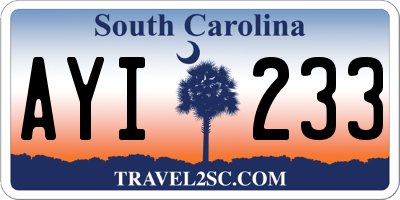SC license plate AYI233