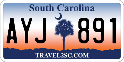 SC license plate AYJ891