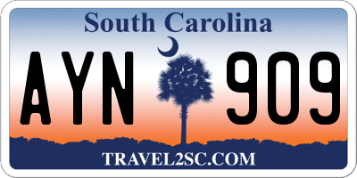 SC license plate AYN909