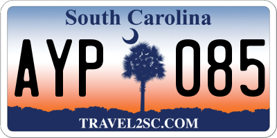 SC license plate AYP085