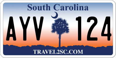 SC license plate AYV124