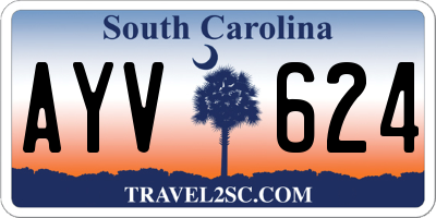SC license plate AYV624