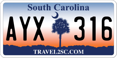 SC license plate AYX316