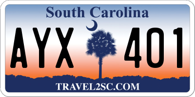 SC license plate AYX401