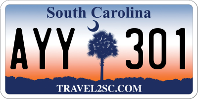 SC license plate AYY301