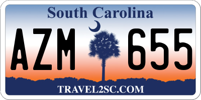 SC license plate AZM655