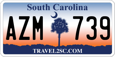 SC license plate AZM739