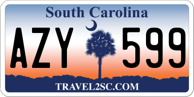 SC license plate AZY599