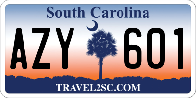 SC license plate AZY601