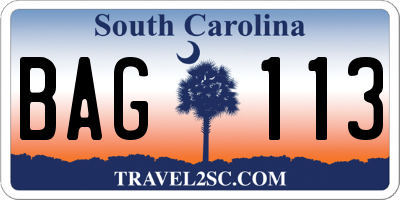 SC license plate BAG113