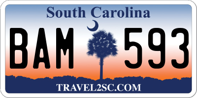SC license plate BAM593