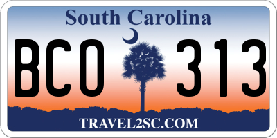 SC license plate BCO313