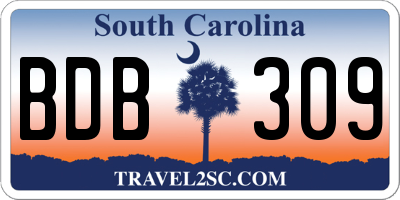 SC license plate BDB309