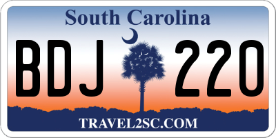 SC license plate BDJ220