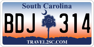 SC license plate BDJ314