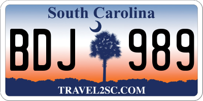 SC license plate BDJ989