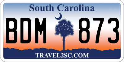 SC license plate BDM873