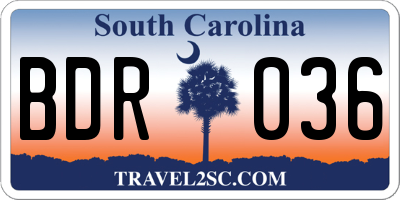 SC license plate BDR036
