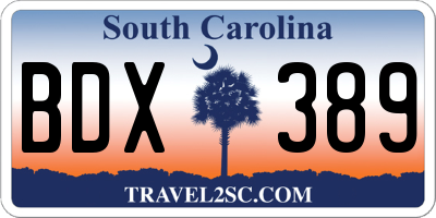 SC license plate BDX389