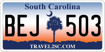 SC license plate BEJ503