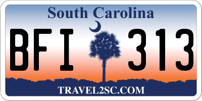SC license plate BFI313