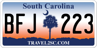 SC license plate BFJ223