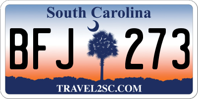 SC license plate BFJ273
