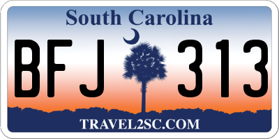 SC license plate BFJ313