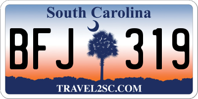 SC license plate BFJ319