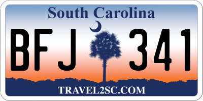 SC license plate BFJ341