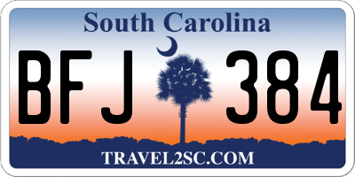 SC license plate BFJ384