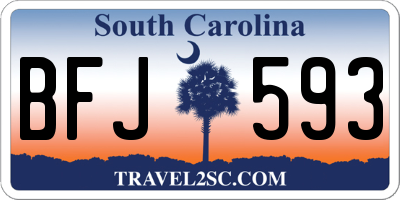 SC license plate BFJ593