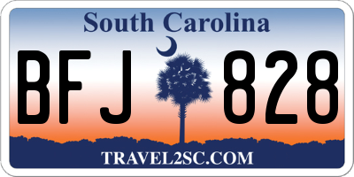 SC license plate BFJ828