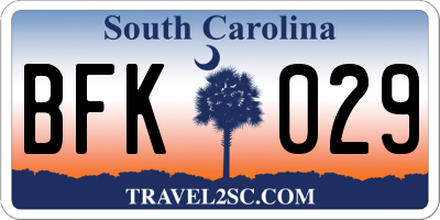 SC license plate BFK029