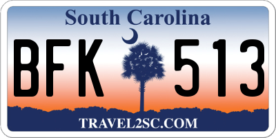 SC license plate BFK513