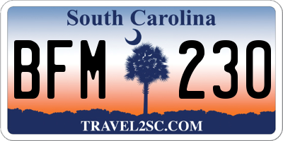 SC license plate BFM230