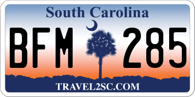 SC license plate BFM285