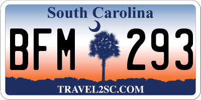 SC license plate BFM293