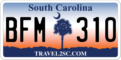 SC license plate BFM310