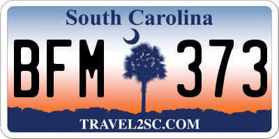 SC license plate BFM373