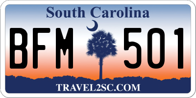 SC license plate BFM501