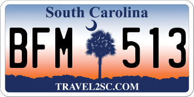SC license plate BFM513