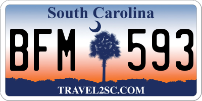 SC license plate BFM593