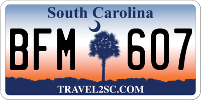 SC license plate BFM607