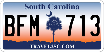 SC license plate BFM713